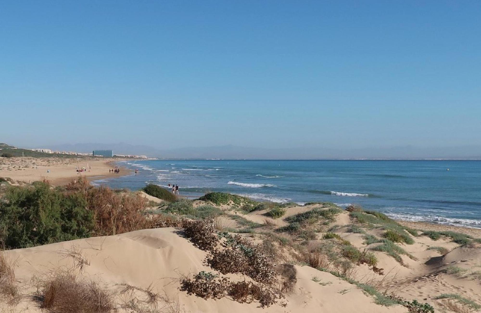 Emilia De La Playa Lejlighed La Mata  Eksteriør billede